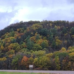 Meet your Posher, Traci